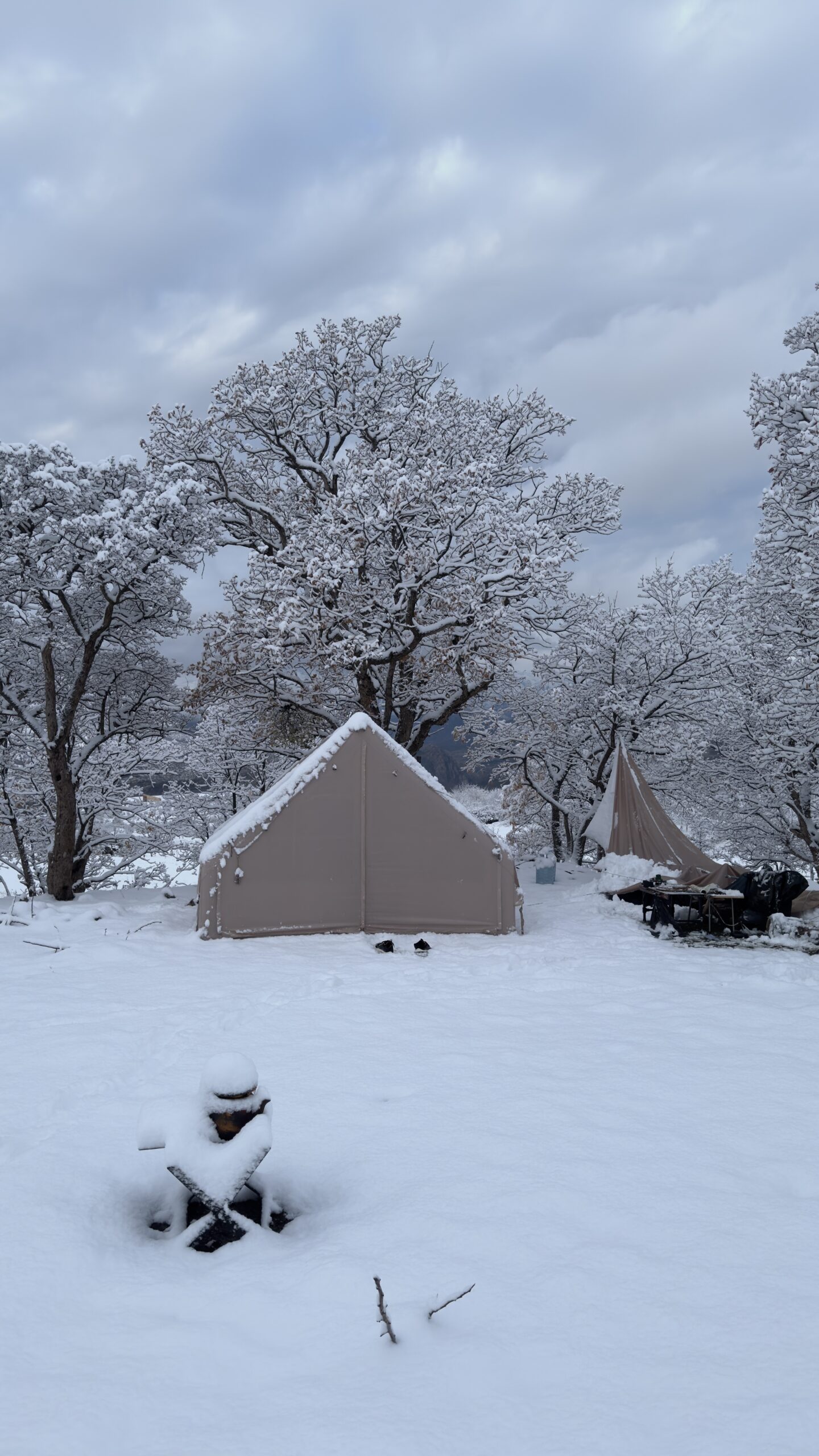 winter0 scaled